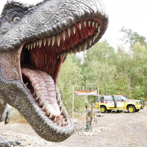 11_Pressefoto_T-Rex_Web.jpg
